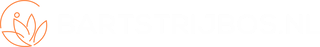 Bart Strijbos Website Logo